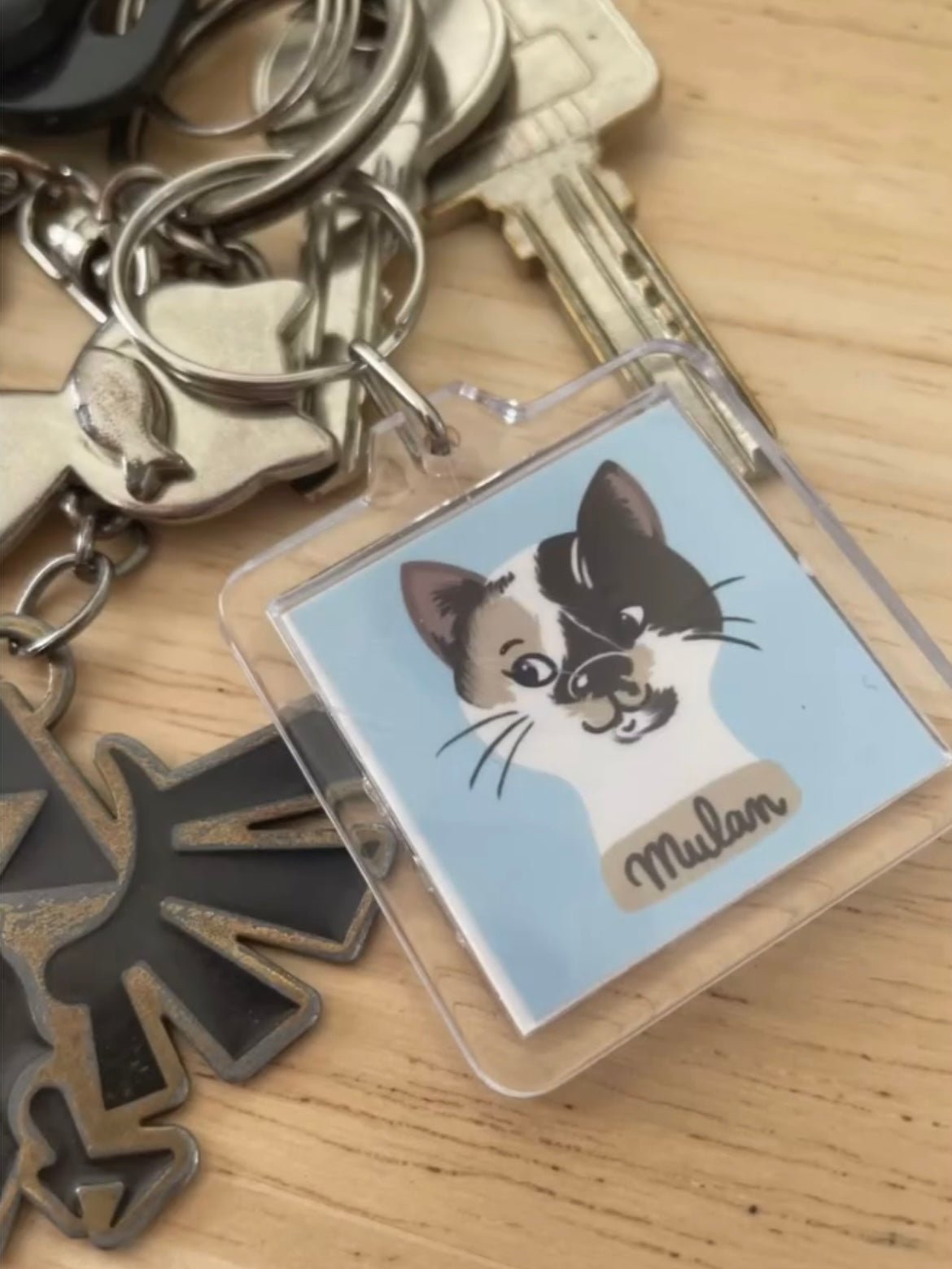 Porte clés portait d’animaux