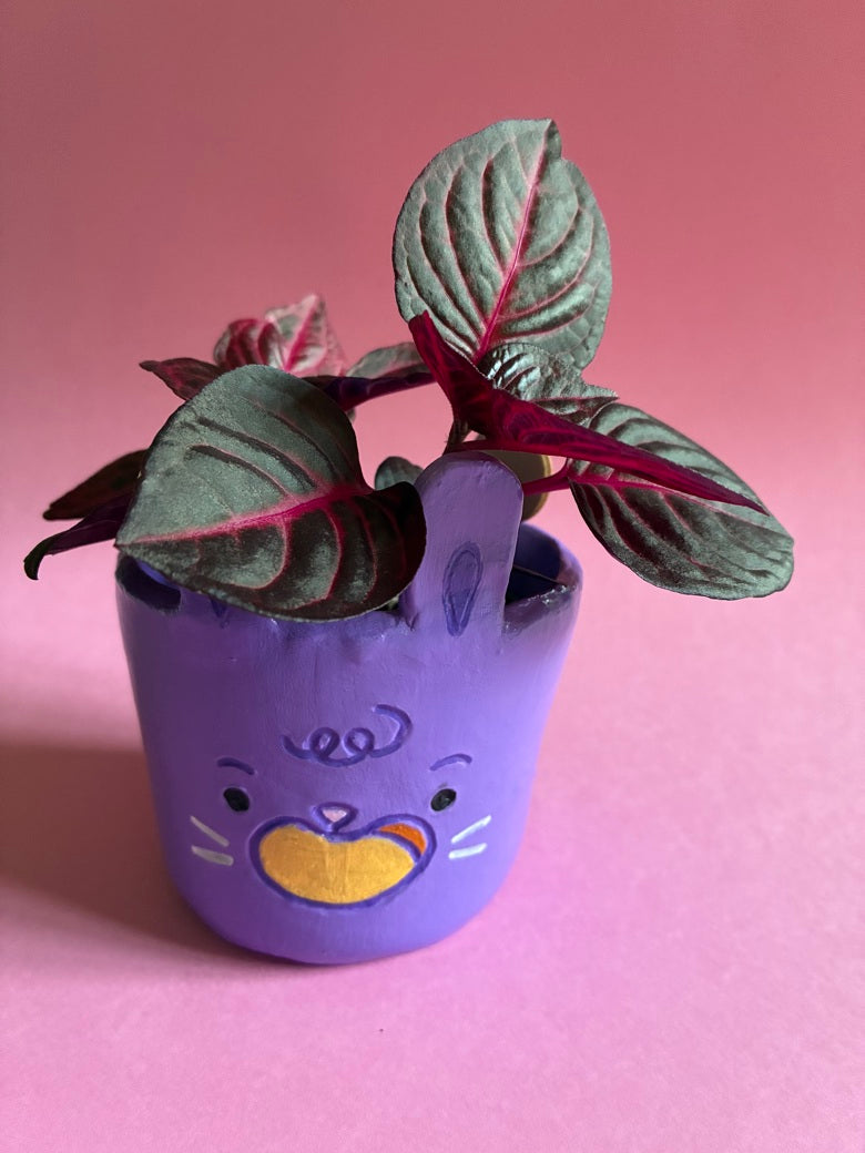 Caches pots animaux