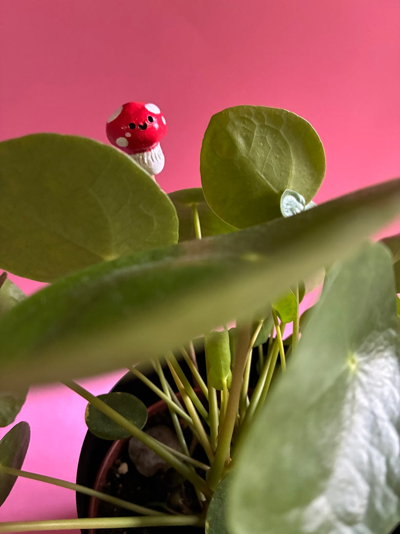 Copains de plantes