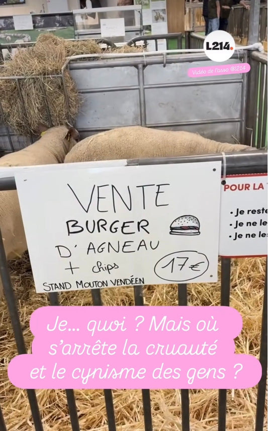 La colère et la rage