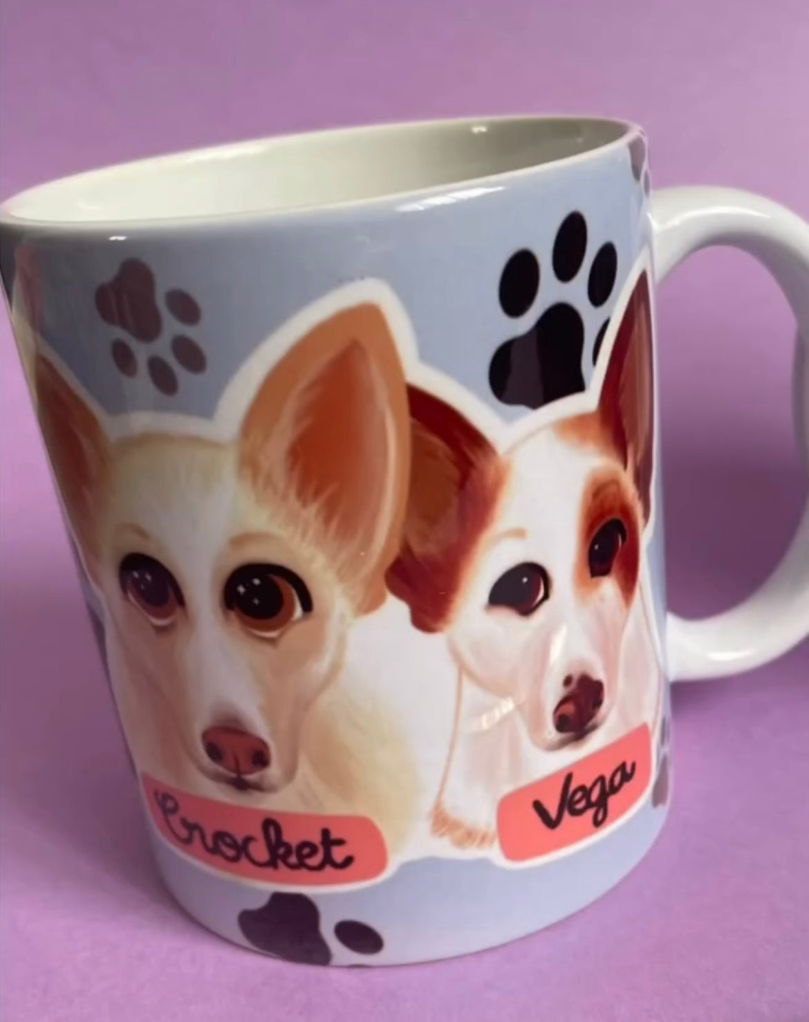 Mug Portrait d’animaux