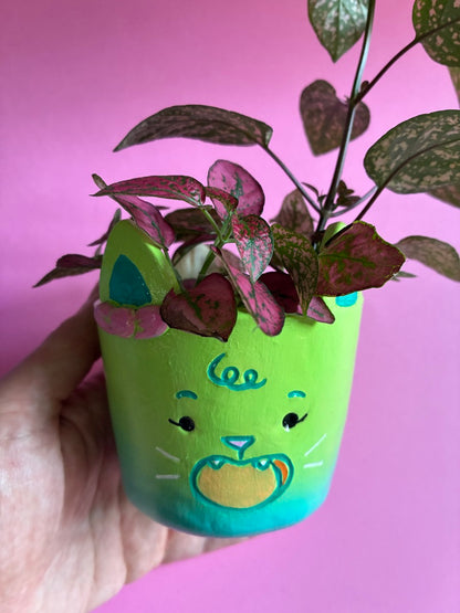 Caches pots animaux