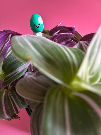 Copains de plantes