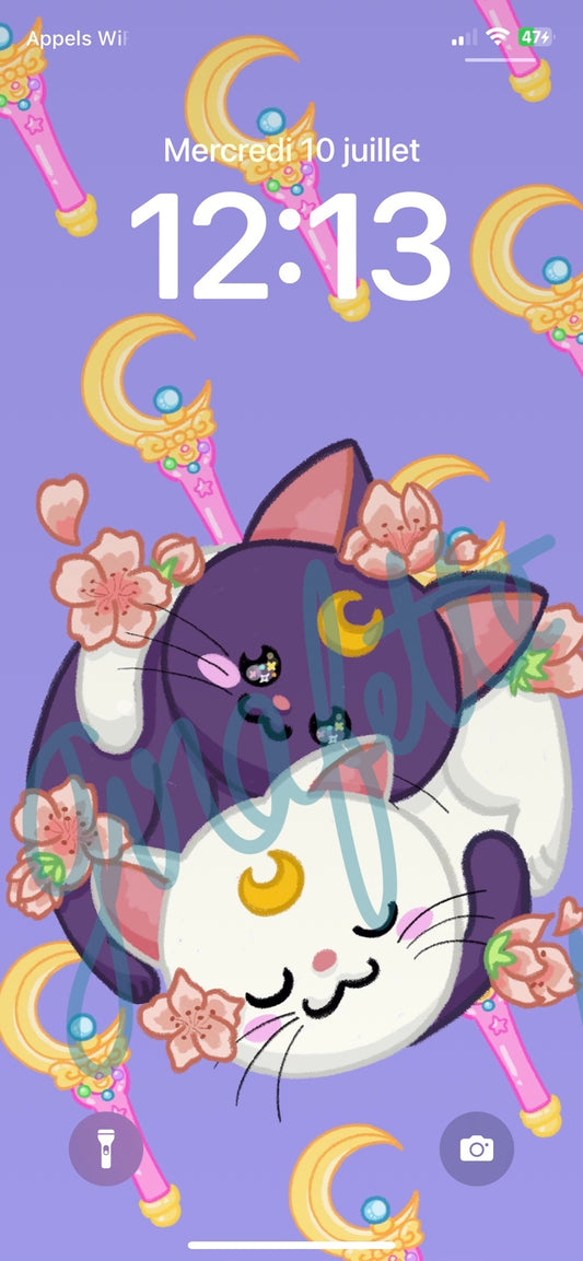 Fond d’écran pour téléphone portable Sailormoon
